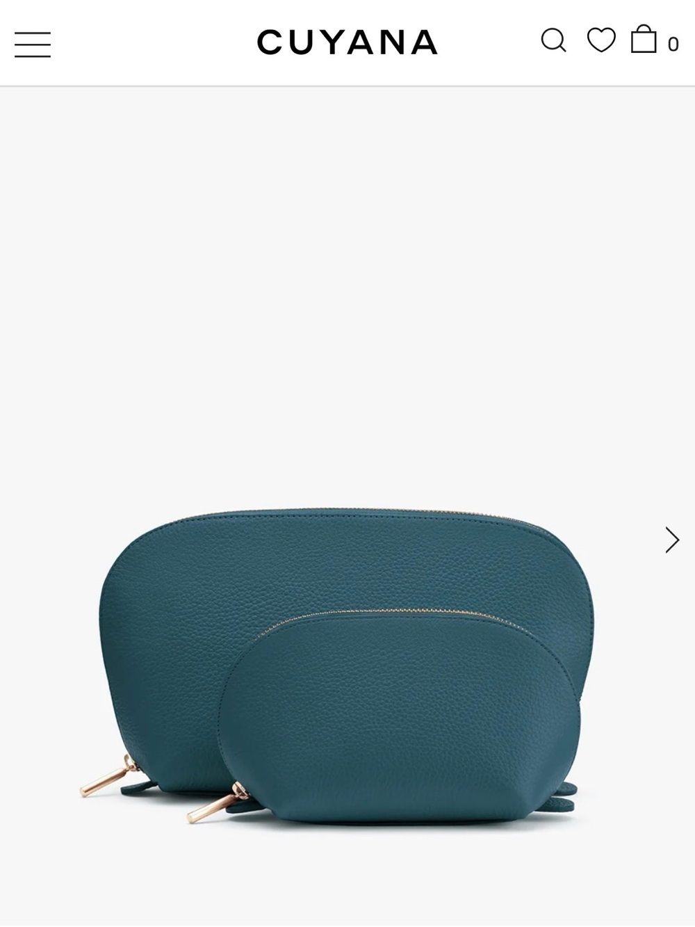 Cuyana Teal Leather Travel Pouch Set